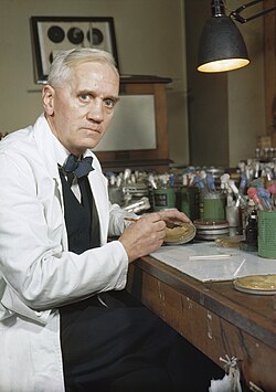 The Discovery of Penicillin: The First Antibiotic That Saved Humanity